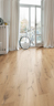 MPlus Aktiv 2024 F-Parkett 2V Ham.537350